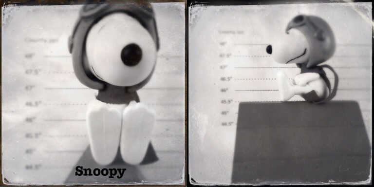 Mugshot - The Peanuts Gang - Snoopy