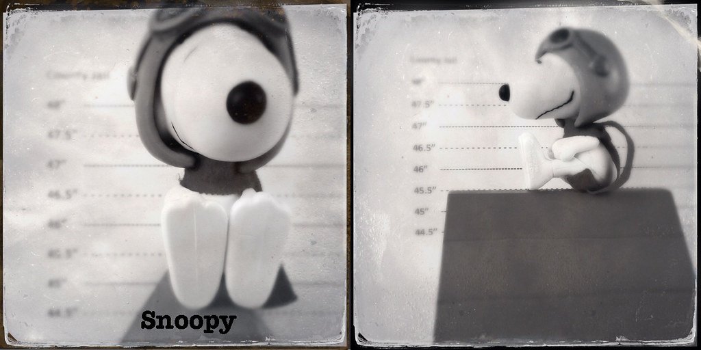 Mugshot - The Peanuts Gang - Snoopy